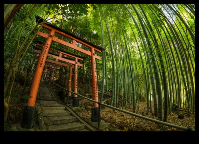 Bambu Japon bahçeciliğinin sırrını esintiyor